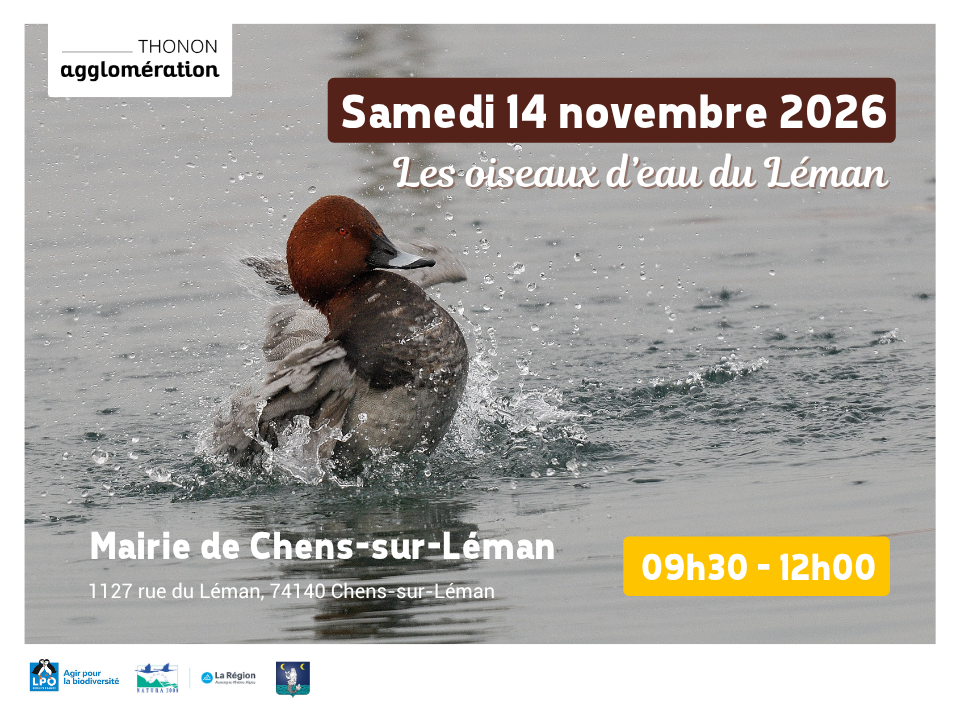 affiche de la sortie nature